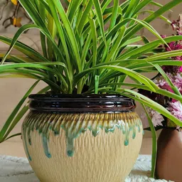 NIYARA Cream Printed Glacier Ceramic Planter-image-55