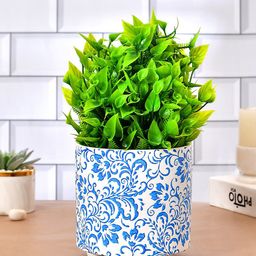 TAYHAA White Blue Floral Printed Ceramic Planter-image-19