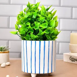 TAYHAA White & Blue Printed Ceramic Planter-image-93
