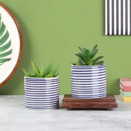 VarEesha Set Of 2 Blue & White Striped Ceramic Planters-35