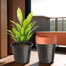Kuber Industries Pack Of 6 Orange-Colored & Black Planters-2