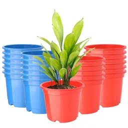 Kuber Industries 24-Pcs Red & Blue Round Planters-54