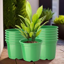 Kuber Industries 12-Pcs Green Durable Planters-56