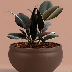 LASAKI Coffee Brown Bowl Shape Ceramic Planters-image-75