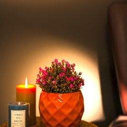 The Decor Mart Orange Textured Ceramic Planters-39