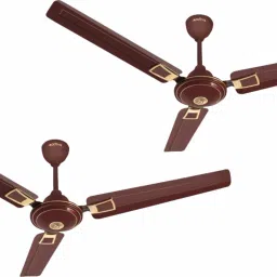 APSRA DECO 5 STAR PACK OF TWO 1200 3 Blade Ceiling Fan-image-55