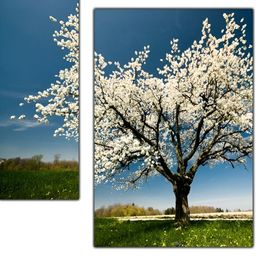 PnF White & Blue 3 Pieces Wooden Floral and Botanical Wall Art-6