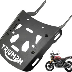 Adjustable Driver and Passenger Backrest-image-8