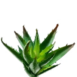 Garden Deco Green Succulent Artificial Plant-image-69