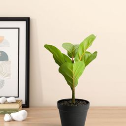 Living scapes by Pantaloons Green & Black Artificial Flowers and Plants-37