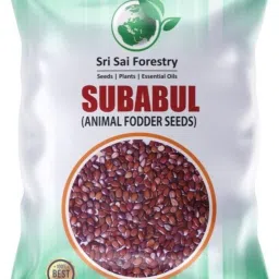 Hybrid Subabul Fodder Seeds, Natural Green Manure Plant Seed-image-56