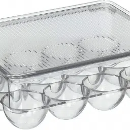 Plastic Egg Container- 1 dozen-45