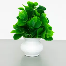 Artificial Plant for Home decor Bonsai Wild Artificial Plant with Pot-image-23
