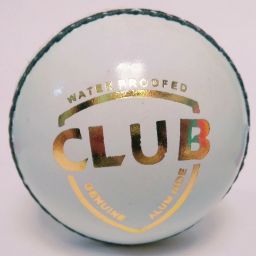 White Cricket Leather Ball-image-87