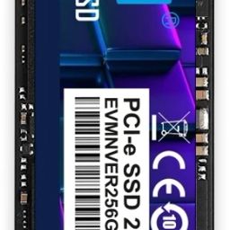 EVM NVME 256 GB Desktop, Laptop, Servers, Network Attached Storage, Surveillance Systems Internal Solid State Drive (SSD) (256GB M.2 NVME PCIE SSD)-16
