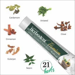 herbodent Premium Toothpaste Dr. Jaikaran's Fluoride Free Toothpaste with 21 Rare Herbs And No Artificial Flavor, Gelatin or Chalk Powder ( 100g Pack of 3) Toothpaste image 3