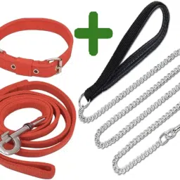 Combo Dog Chain Leash Collar & Belt Set Medium Dog Collar & Handle Chain Dog Collar & Chain-image-71