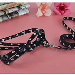 woofy Paw Print Leash and Harness | Set for Small & Medium Puppy Bell Dog & Cat Collar Charm image 3