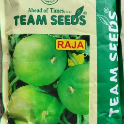 500g, Tinda seeds highest yield variety early fruiting dark green fruits best Seed-image-30