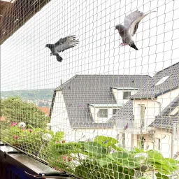 zebrilla 10x6 Foot Anti Bird & Window Protection Camping Net (White) Camping Net image 4