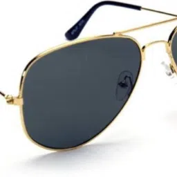 Polarized Aviator Sunglasses (Free Size)-picture-15