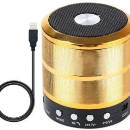 TECORE Mini Bluetooth Speaker WS 887 & FM Radio USB Pen Drive Slot and Memory Card Slot 5 W Bluetooth Speaker-10