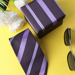 Alvaro Castagnino Men Purple Striped Skinny Tie-image-59