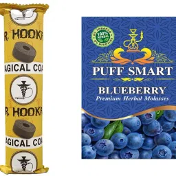 Blueberry with 1 Polo Quick Light Charcoal ( 10 disk) Hookah Charcoals-image-39