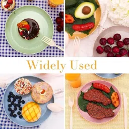 keshuenterprise wheat straw random dinner plates set of 4 Tray image 4