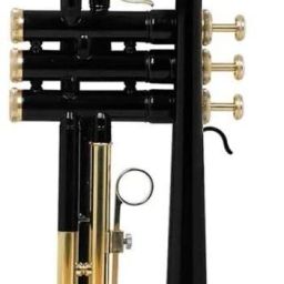 Standard Bb Trumpet Set – Black Trumpet-2437 with Hard Case, 7C Mouthpiece & Valve Oil– Musical Instrument Bb Trumpet-image-71