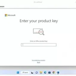 MICROSOFT OFFICE LTSC PROFESSIONAL PLUS 2024 (LIFETIME VALIDITY, 1 PC) ACTIVATION KEY CARD image 3