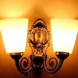 Wallchiere Wall Lamp Without Bulb-image-98