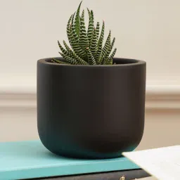 Jeanie Black Terracotta Desk Pot by Purezento-picture-45
