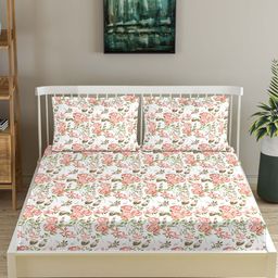 Trance Home Linen Red & White Floral Printed 180 TC Fitted Cotton Queen Bedsheet Set-image-21