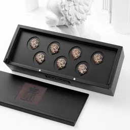 COSA NOSTRAA Men Gold-Toned Set of 7 The Lion of Judah Buttons-59