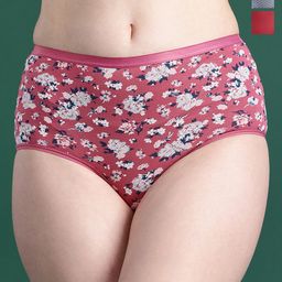 DressBerry Pack Of 3 Assorted Printed Mid-Rise Hipster Briefs-46
