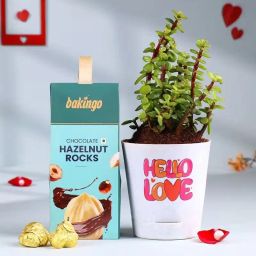 Jade Plant In Hello Love Pot N Hazelnut Rocks-image-27