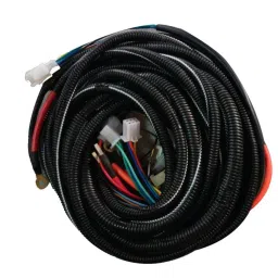 E-RICKSHAW WIRING HARNESS 999-18
