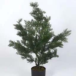 Home Bloom Green 1 Pieces Artificial Plant With Pot-image-30