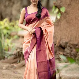 Marziyaa Woven Design Zari Silk Cotton Banarasi Saree-picture-25