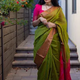 Miss Beelee Ethnic Motifs Woven Design Zari Banarasi Saree-20
