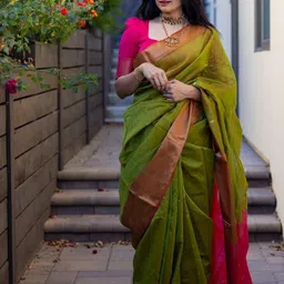 Marziyaa Woven Design Zari Designer Banarasi Saree-picture-51