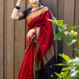 Miss Beelee Woven Design Zari Banarasi Saree-picture-17
