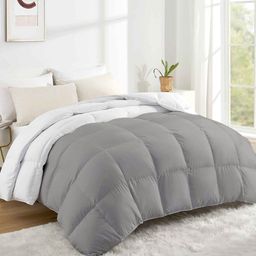 RAZZAI White & Silver-Toned Microfiber Mild Winter 500 GSM Double Bed Comforter-image-84