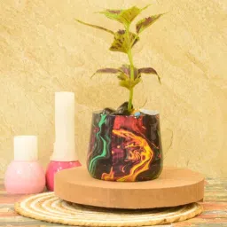 sone key chidiya Dean Iron Multicolour Desk Pot-picture-24