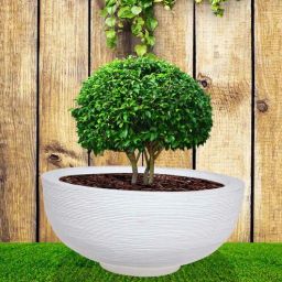 nora Lily Pan White Polyethylene Floor Planter-picture-9