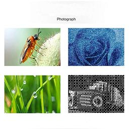 Meichoon 1600X Magnification Endoscope USB Microscope Camera, Portable Mini Digital Microscope with Metal Stand, Compatible with Mac Windows 7 8 10 XP,NB01C image 4