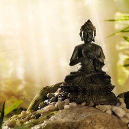 FRIZZY ARTS Black & Green Buddha Wooden Wall Photo Frame-image-58