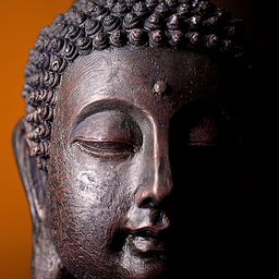 FRIZZY ARTS Black & Brown Budha Religious Wooden Framed Paintings Wall Art-image-95