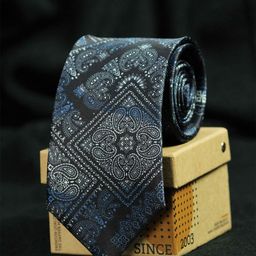 Tossido Men Blue & White Printed Broad Tie-image-99